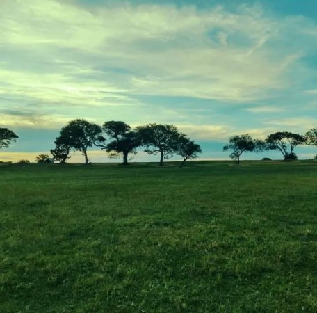 TERRENOS EN LOTEO YABOTI