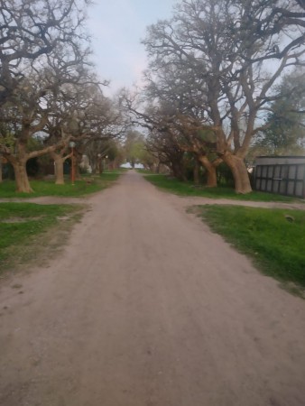 TERRENO EN SALADERO M. CABAL 20 Mts X 50 Mts