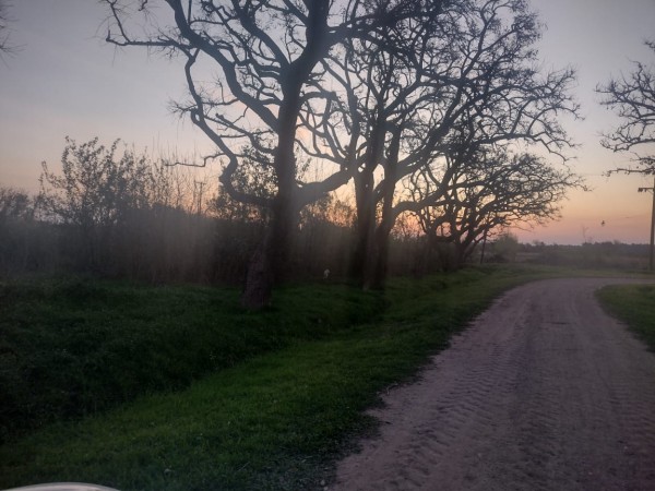 TERRENO EN SALADERO M. CABAL 20 Mts X 50 Mts