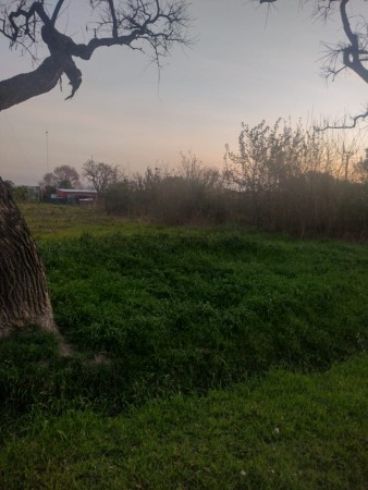 TERRENO EN SALADERO M. CABAL 20 Mts X 50 Mts