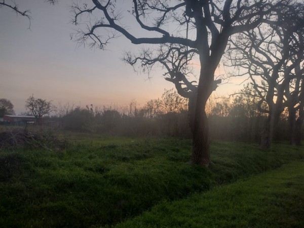 TERRENO EN SALADERO M. CABAL 20 Mts X 50 Mts