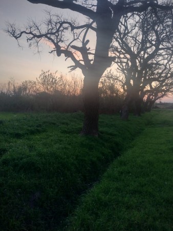 TERRENO EN SALADERO M. CABAL 10 Mts X 50 Mts