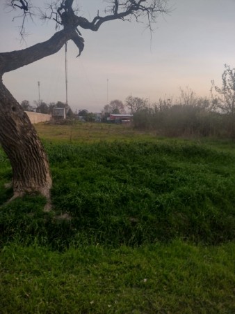 TERRENO EN SALADERO M. CABAL 10 Mts X 50 Mts