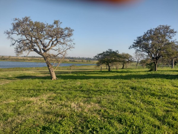 CASA DE CAMPO EN COL CALIFORNIA, SAN JAVIER