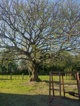 CASA DE CAMPO EN COL CALIFORNIA, SAN JAVIER