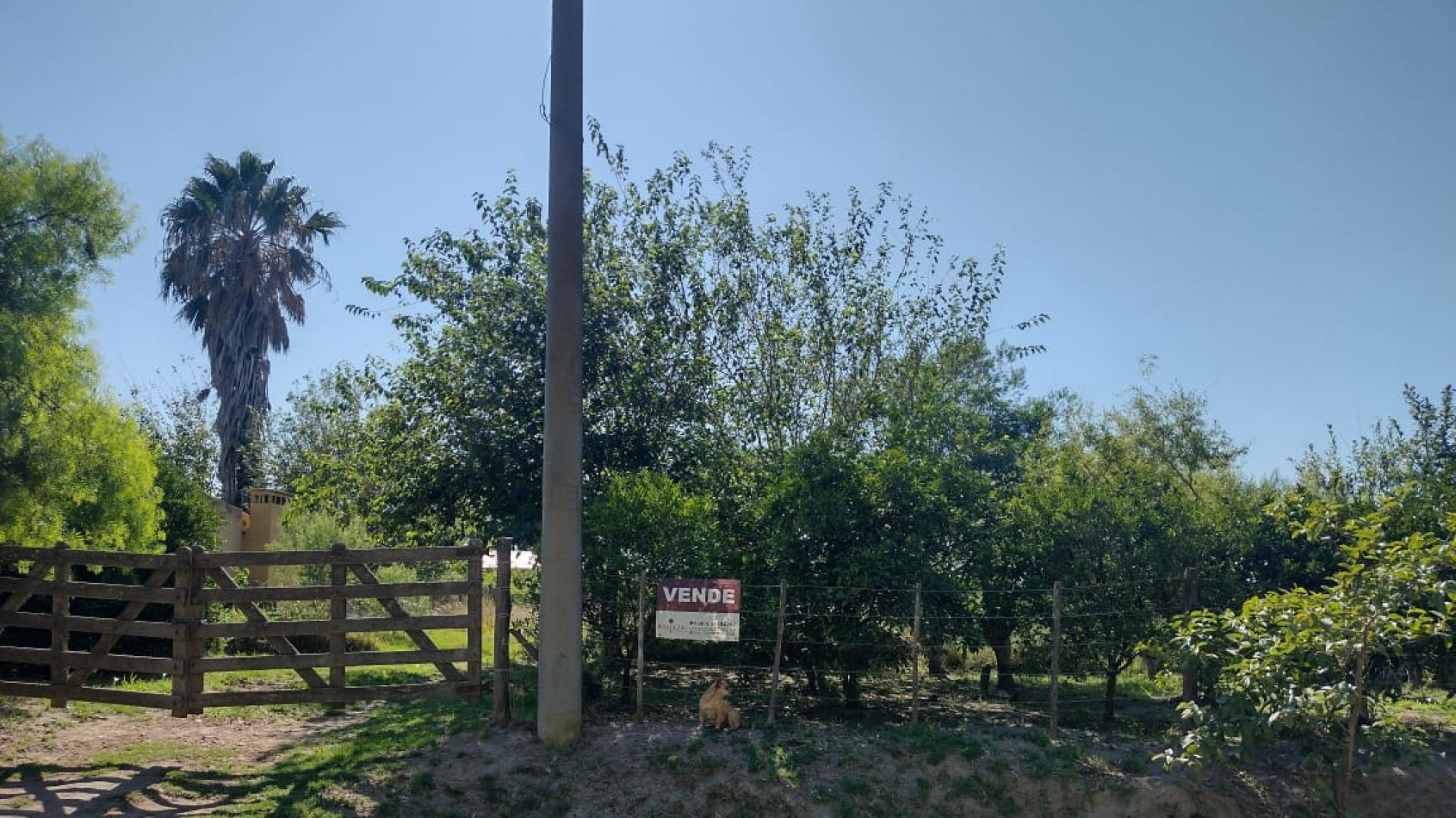 VENTA TERRENO INTERNO EN SAN JAVIER ( LOTE 3)