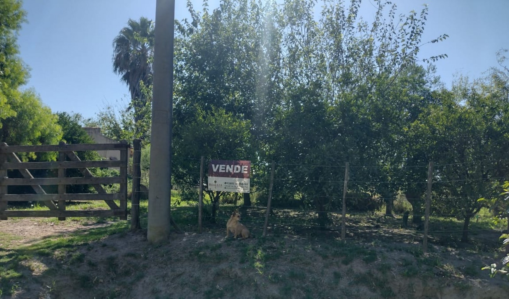 VENTA TERRENO INTERNO EN SAN JAVIER ( LOTE 3)