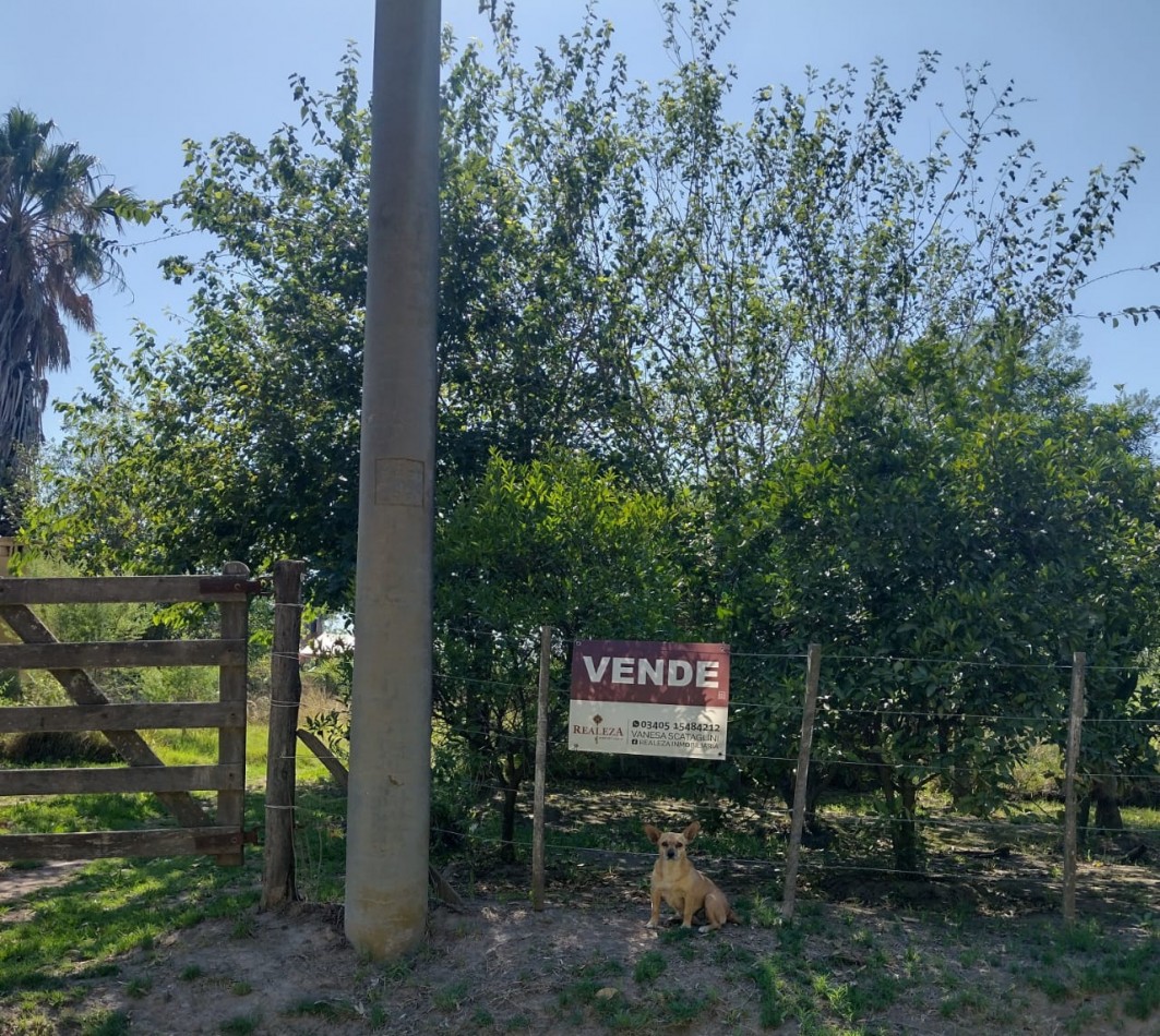 VENTA TERRENO INTERNO EN SAN JAVIER ( LOTE 3)