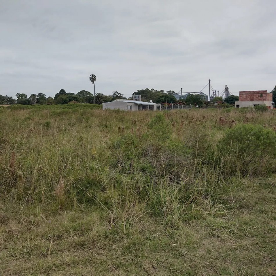 VENTA - TERRENO 10 MTS  X  30 MTA