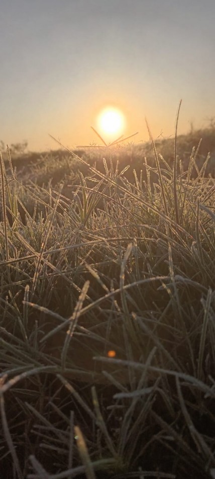 LOTE  K  - TERRENO EN CALLE SAN MARTIN, SAN JAVIER