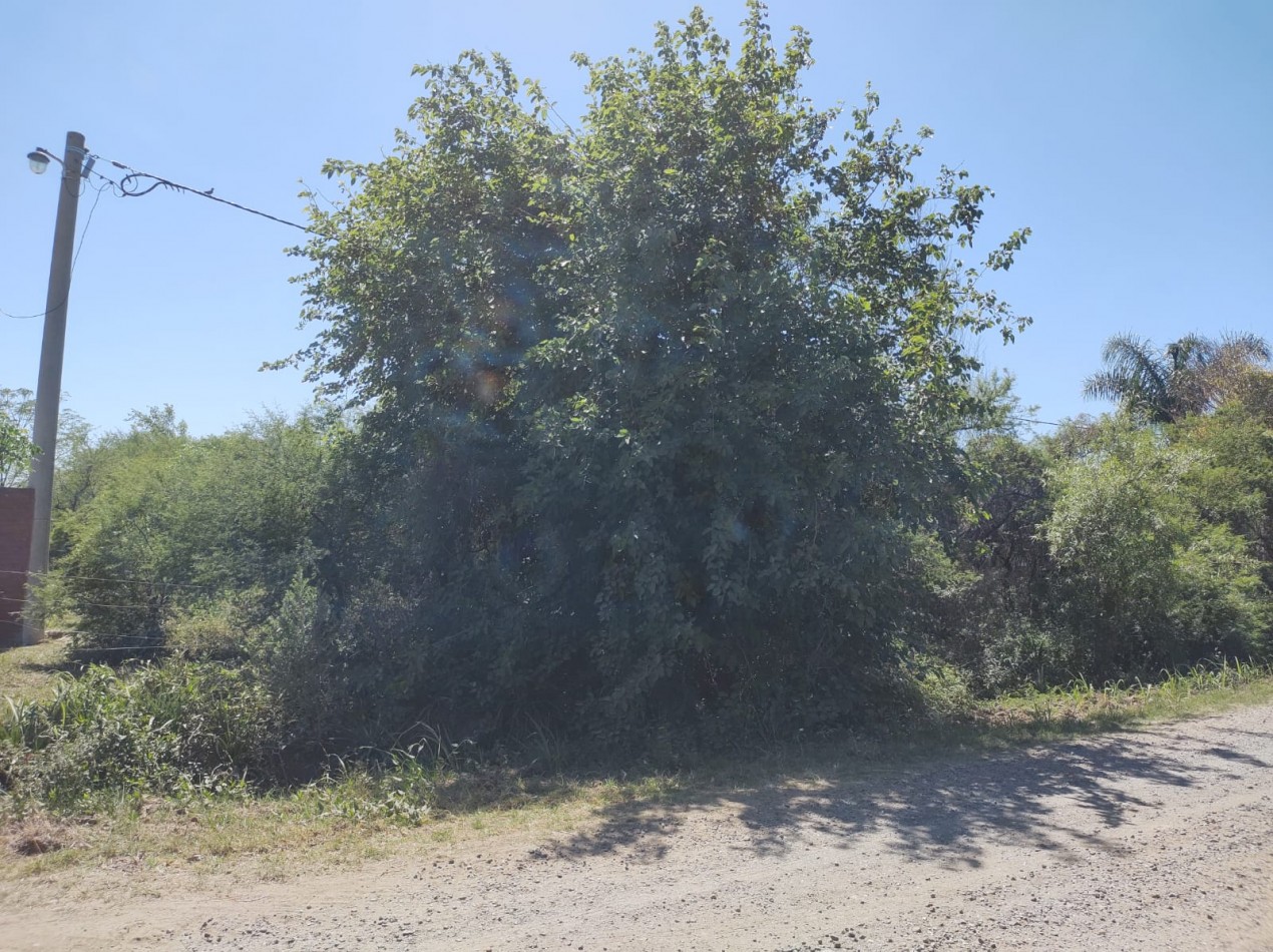 VENTA LOTE 9 ASCOCHINGA RUTA PROVINCIAL 2 OPORTUNIDAD DE INVERSION IMPORTANTES MEDIDAS!!