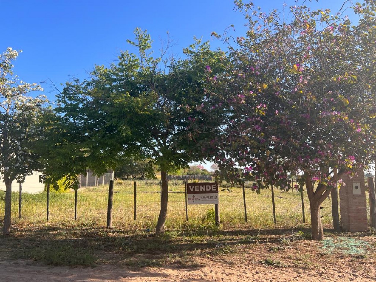 TERRENO 300 M2 CAYASTA