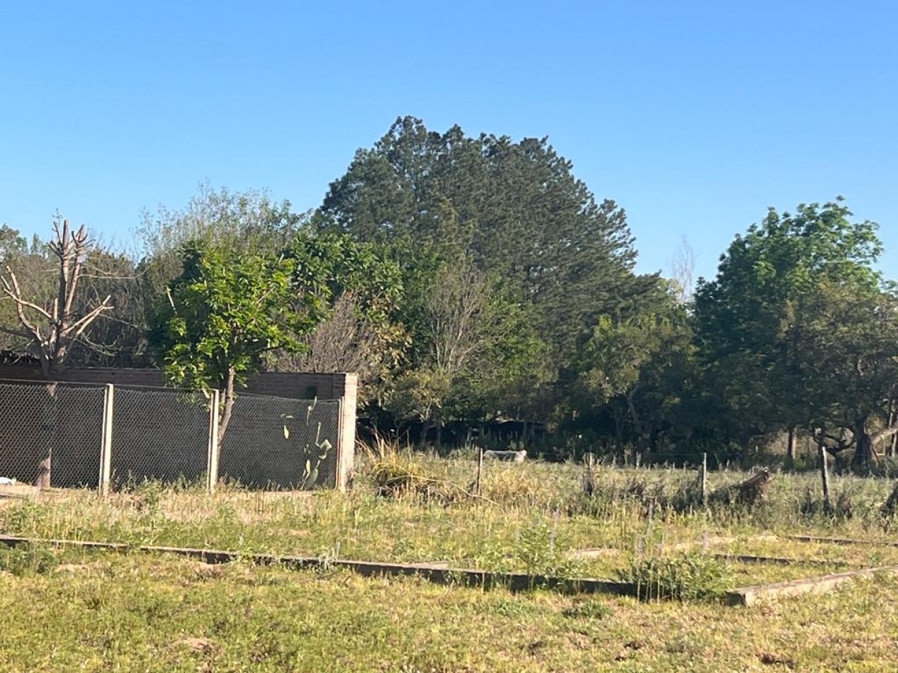 TERRENO 300 M2 CAYASTA