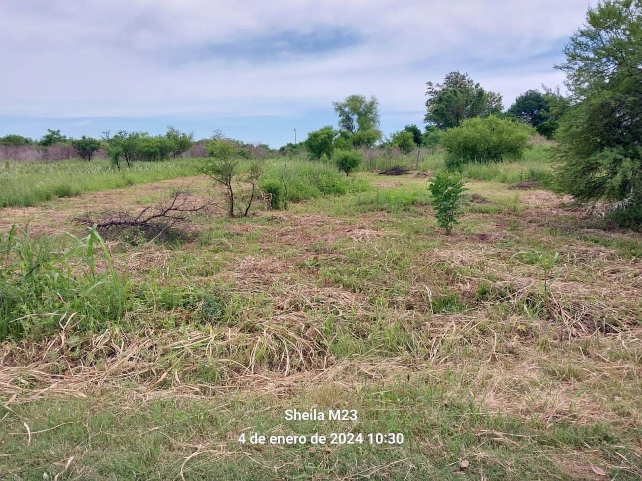 VENTA!!!! TERRENOS CERCA DEL RIO EN COLONIA MASCIAS