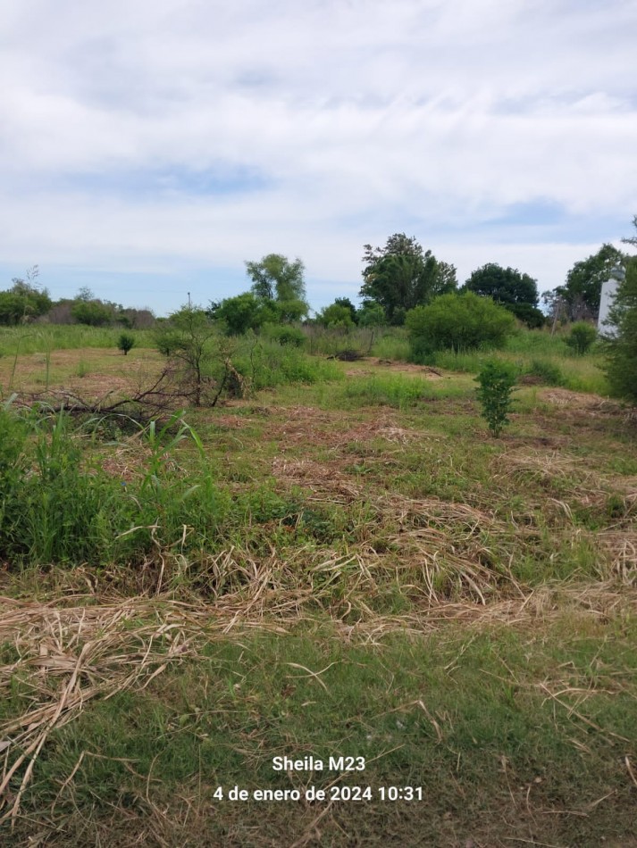 VENTA!!!! TERRENOS CERCA DEL RIO EN COLONIA MASCIAS
