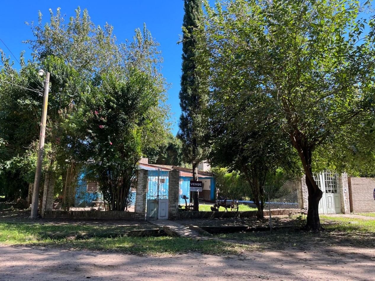 CASA QUINTA A REFACCIONAR EN SAUCE, UBICACION PRIVILEGIADA!! 