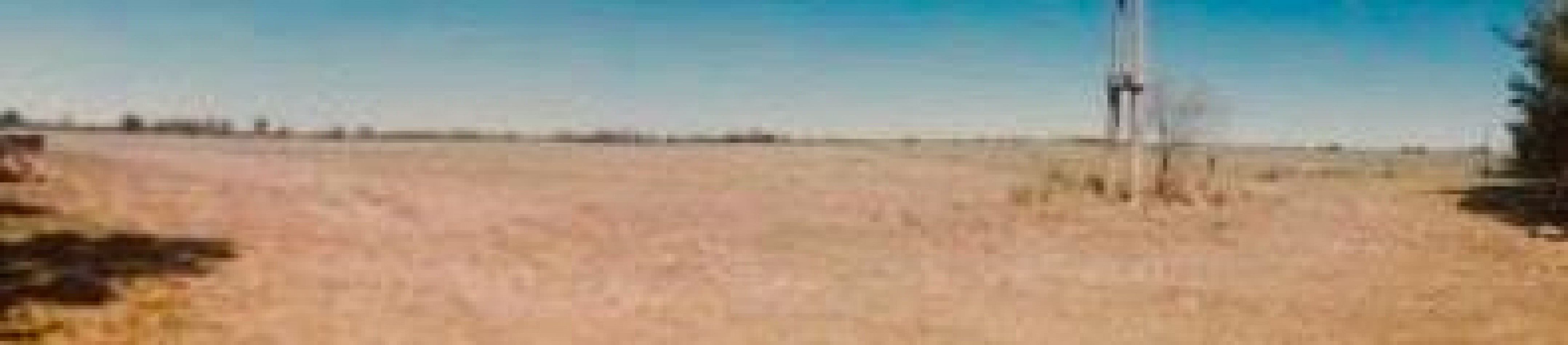 CAMPO MIXTO EN SA PEREIRA !! CASI 94Ha OPORTUNIDAD DE INVERSION !!!!