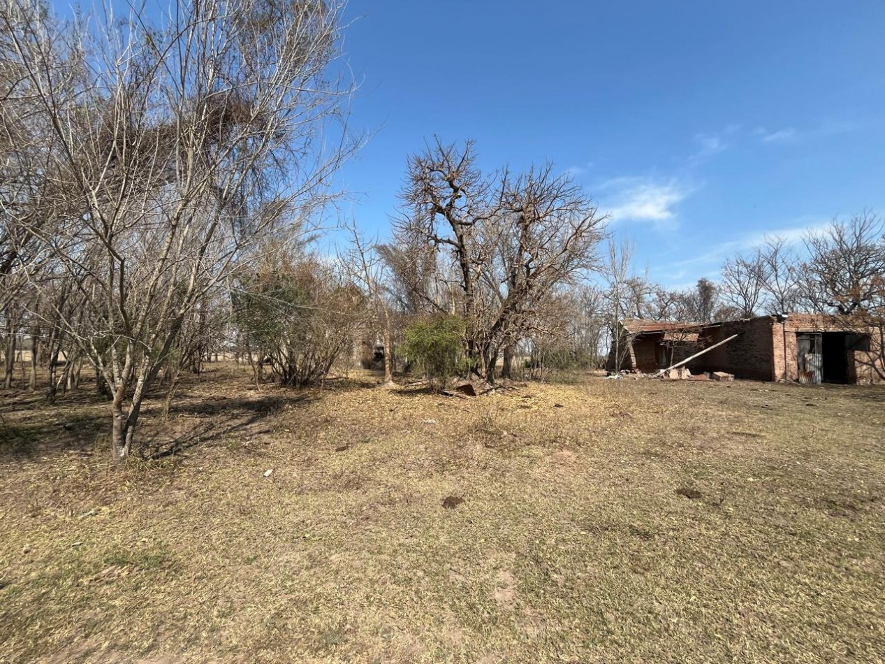 CAMPO MIXTO EN SA PEREIRA !! CASI 94Ha OPORTUNIDAD DE INVERSION !!!!