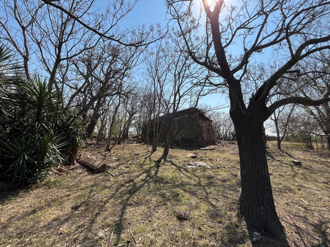 CAMPO MIXTO EN SA PEREIRA !! CASI 94Ha OPORTUNIDAD DE INVERSION !!!!