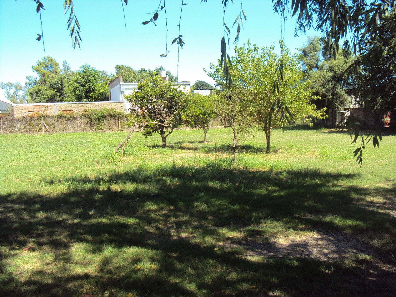 GALPON + OFICINAS EN ALQUILER