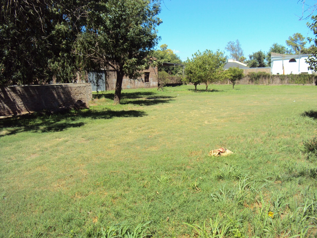 GALPON + OFICINAS EN ALQUILER