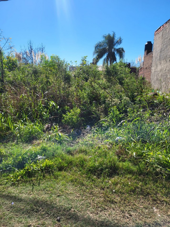 Venta de terreno en zona norte.