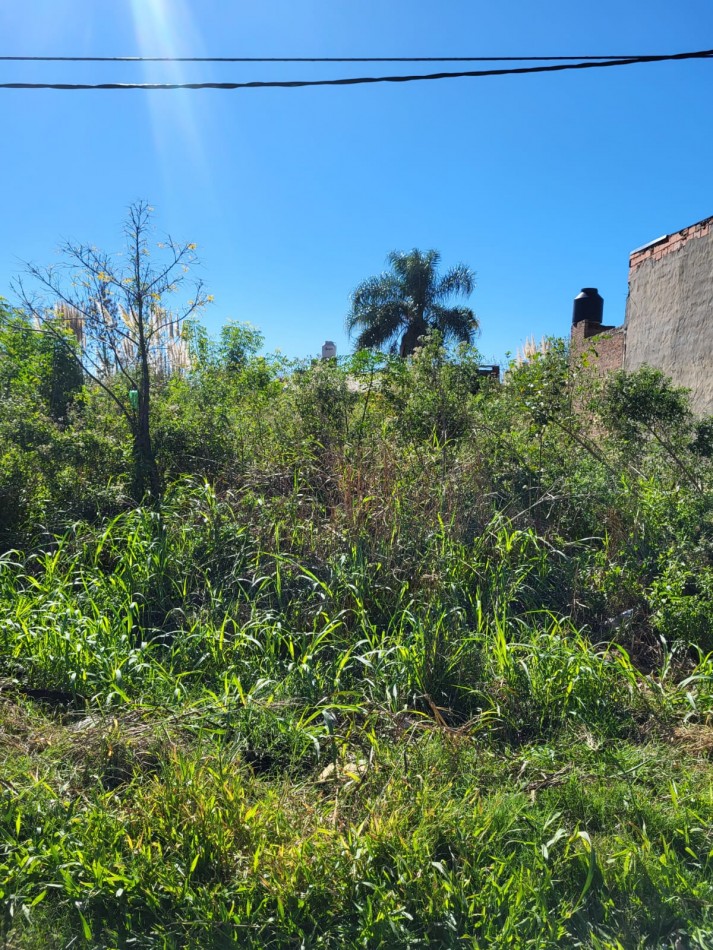 Venta de terreno en zona norte.