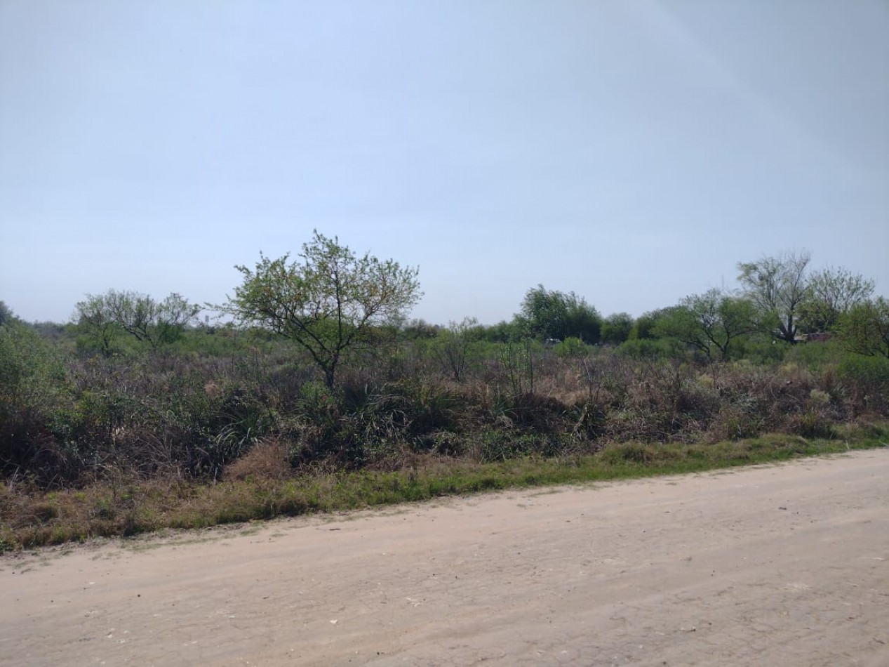 CAMPO DE 10 HA A METROS DE LA RUTA 39