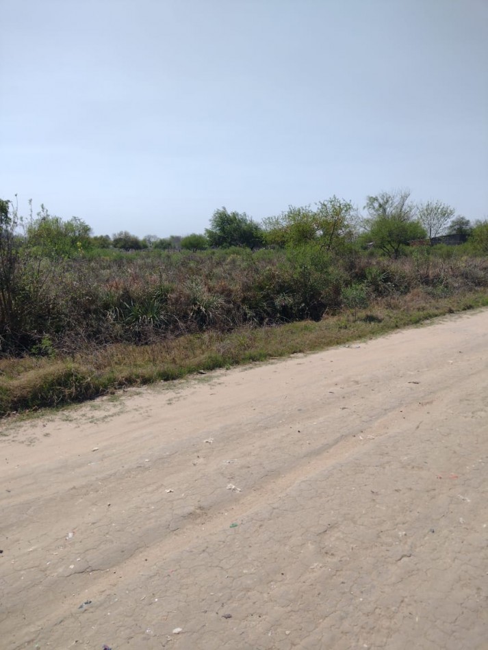 CAMPO DE 10 HA A METROS DE LA RUTA 39