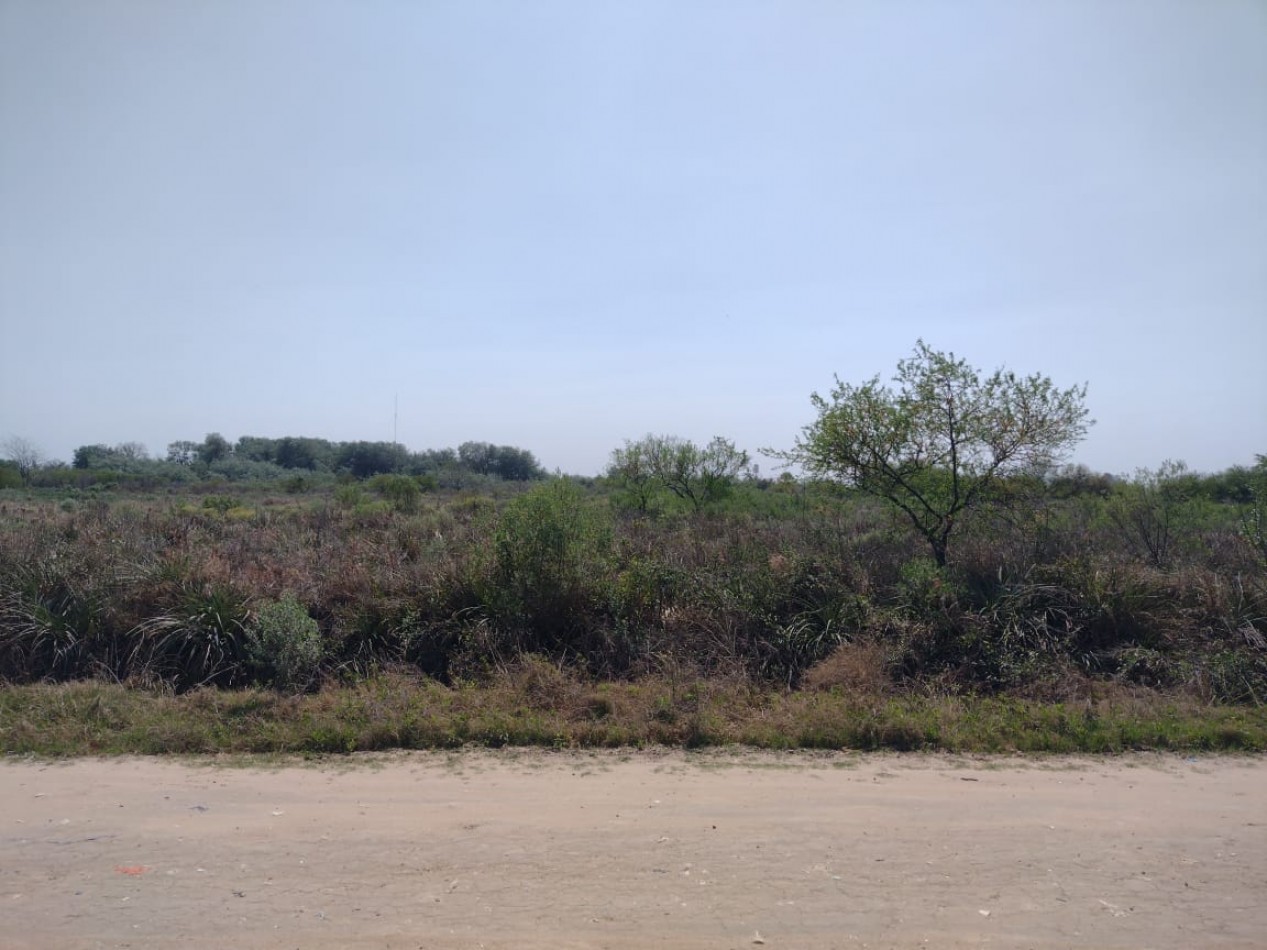 CAMPO DE 10 HA A METROS DE LA RUTA 39