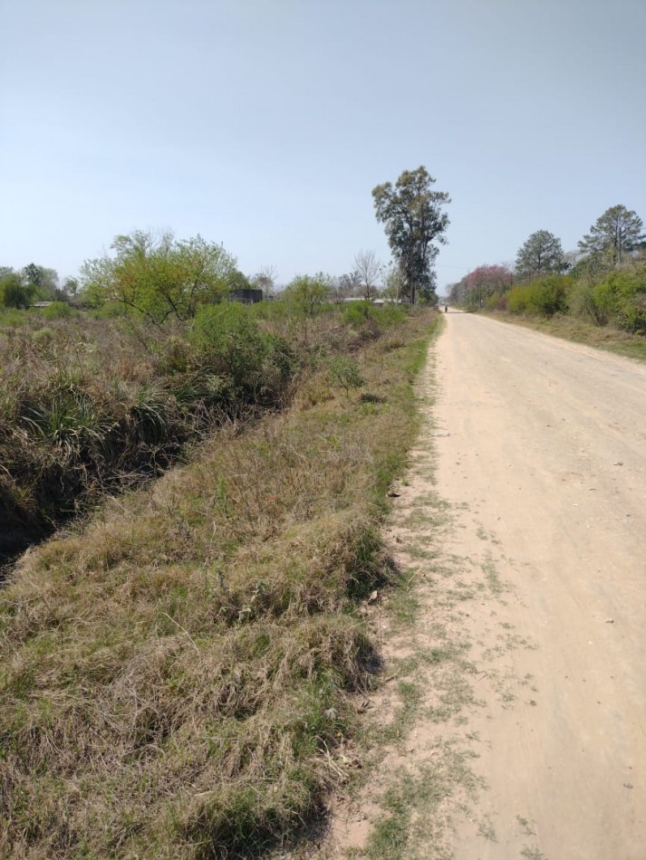 CAMPO DE 10 HA A METROS DE LA RUTA 39