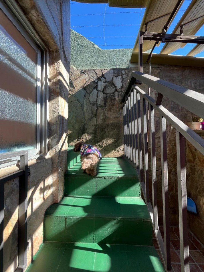 CASA DE CATEGORIA + GALPON IDEAL PARA DESARROLLO/EMPRENDIMIENTO DE TALLER/GIMNASIO/DUPLEX/ETC !! NUEVO INGRESO EN EXCLUSIVA