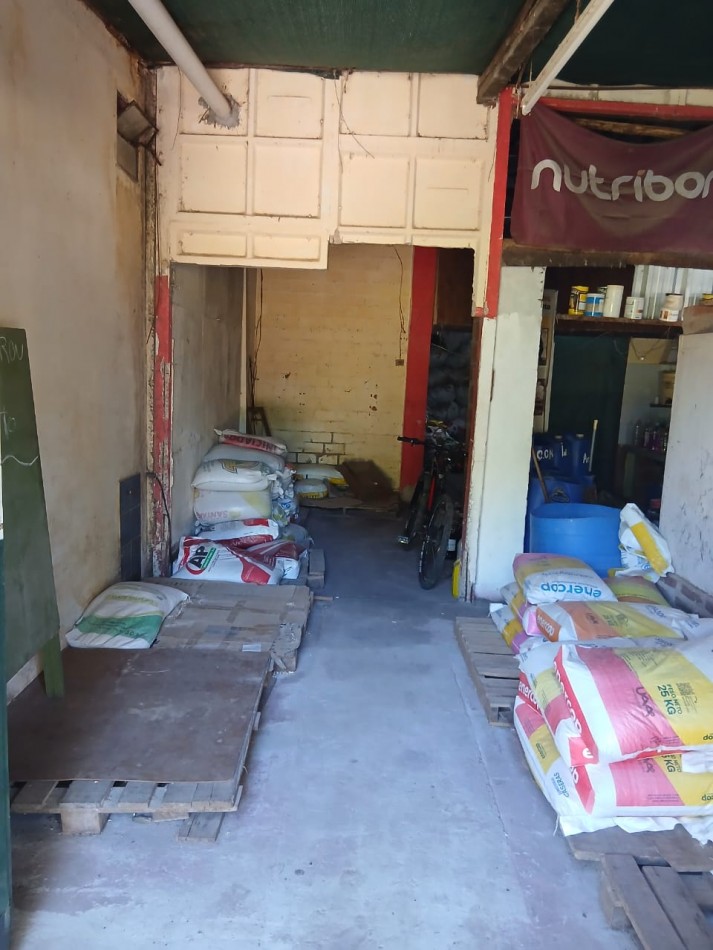 GALPON CON LOCAL AL FRENTE  EN ALEJANDRA 