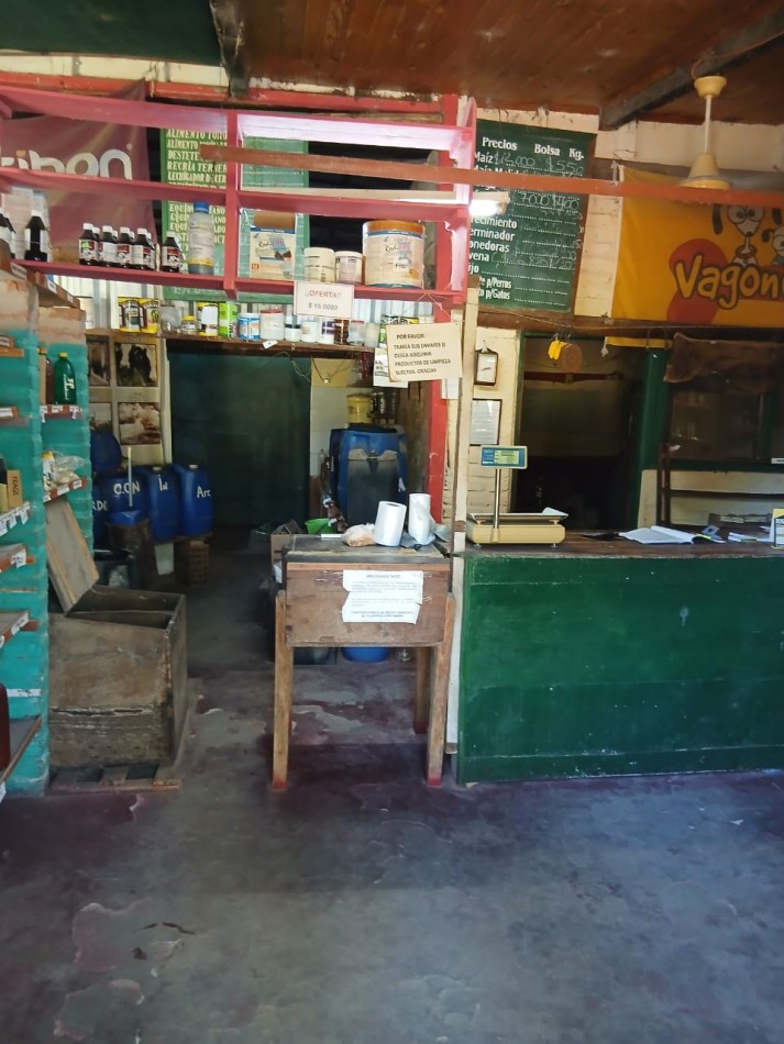 GALPON CON LOCAL AL FRENTE  EN ALEJANDRA 