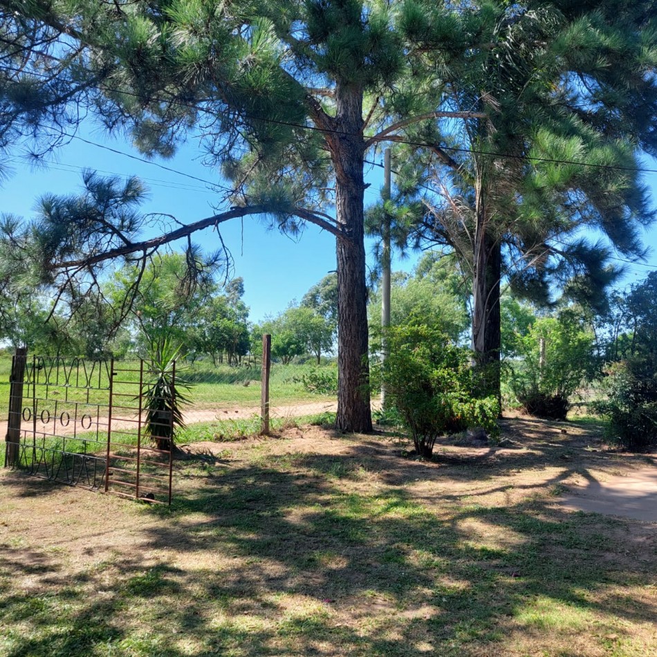 COMODA CASA CON AMPLIO PATIO PARQUIZADO EN CAYASTA, STA FE