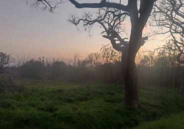 TERRENO EN SALADERO M. CABAL 20 Mts X 50 Mts