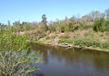 OPORTUNIDAD!!! Terreno  en Pueblo Andino