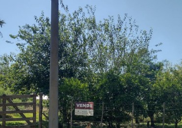 VENTA TERRENO INTERNO EN SAN JAVIER ( LOTE 3)