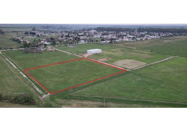 OPORTUNIDAD LOTE 8100 M2 TACURAL