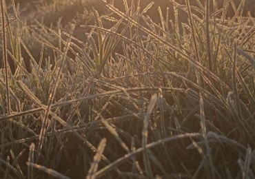 LOTE  K  - TERRENO EN CALLE SAN MARTIN, SAN JAVIER