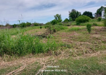 VENTA!!!! TERRENOS CERCA DEL RIO EN COLONIA MASCIAS