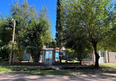 CASA QUINTA A REFACCIONAR EN SAUCE, UBICACION PRIVILEGIADA!! 