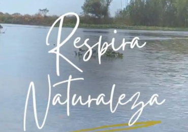 TERRENO EN ALEJANDRA. IMPORTANTE OPORTUNIDAD!! 