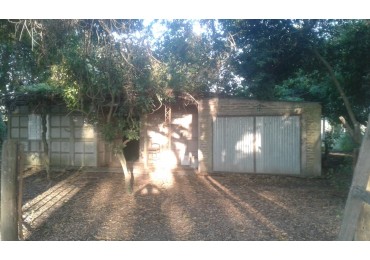 CAMPO DE 15 HA EN PARAJE  LOS CORRALITOS,  ALEJANDRA