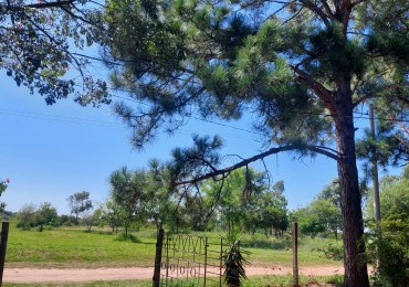 COMODA CASA CON AMPLIO PATIO PARQUIZADO EN CAYASTA, STA FE