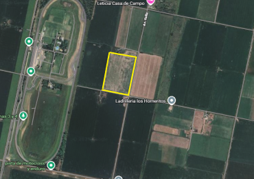 CAMPO AGRICOLA PREMIUM DE 14 Ha SUELO 1 - RAFAELA